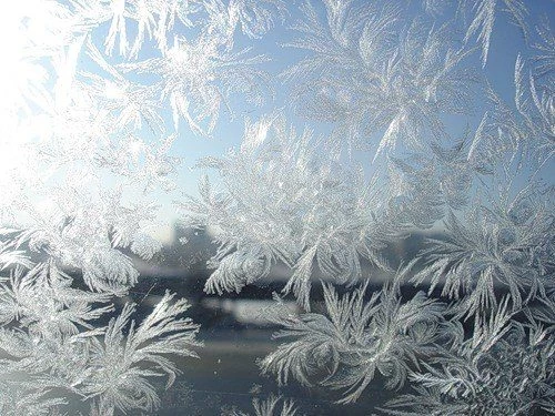 Что нужно знать о первом месяце зимы