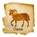 Для создания и поддержания хорошего настроения Овнам необходим гармоничный контакт с внешней средой