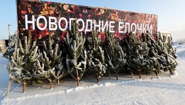Около продуктового магазина горожан встречали Дед Мороз и Снегурочка