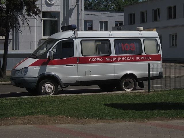 В Екатеринбурге на женщину напала стая бродячих собак