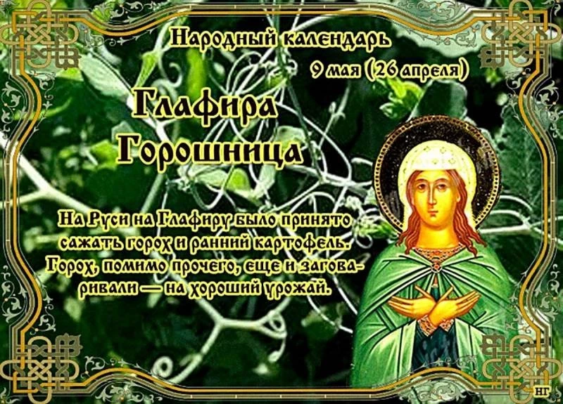 Приметы и поверья на 9 мая 2023 года: что нужно сделать в день Глафиры Горошницы