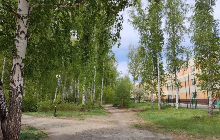 В «Парковом» появятся новые сквер и экотропа