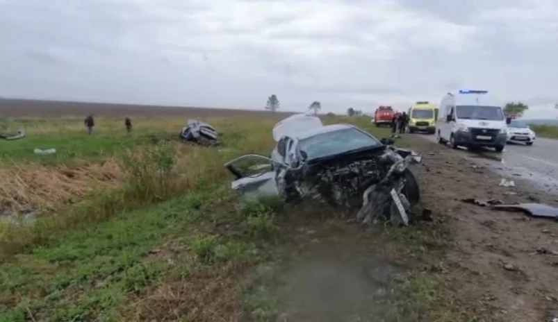 Два водителя и пассажиры насмерть разбились в лобовом автостолкновении около Уссурийска