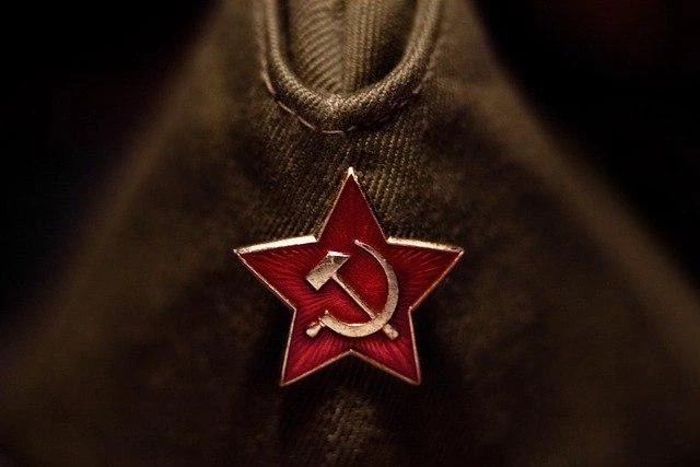 Шахназаров опубликовал компромат на Лайму Вайкуле после ее критики Дня Победы