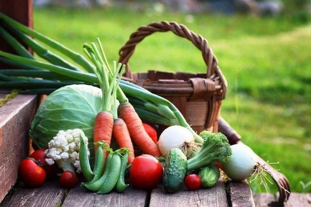 Когда можно собирать ранний картофель, редис и шпинат с грядки: лунный календарь первого урожая на июнь 2023 года