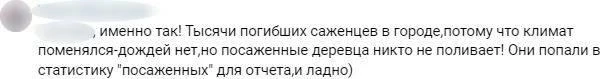 Статистика для отчета: петербуржцы раскритиковали «пиар-акцию» Смольного по высадке деревьев