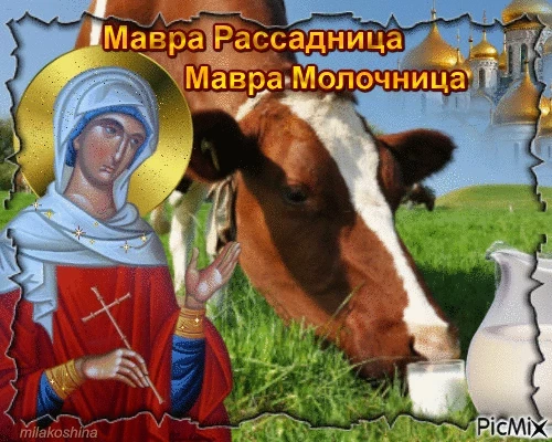 Традиции, запреты и приметы праздника Мавра-Рассадница, Мавра-Молочница, Мавра – Зелёные щи, отмечаемого 16 мая 2023 года