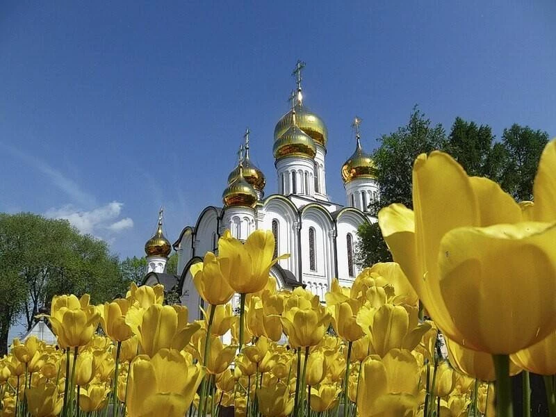 День памяти преподобного Феодосия Печерского отмечают православные христиане ежегодно 16 мая
