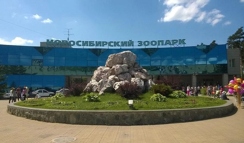 В Новосибирске в зоопарке охранник душил посетительницу из-за QR-кода