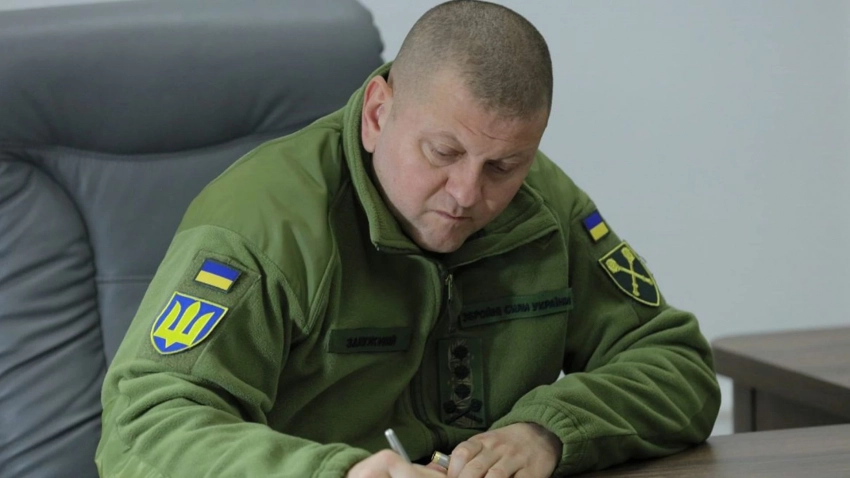 Монтян объяснила, зачем Залужный залег на дно и почему «воскрес» именно сейчас