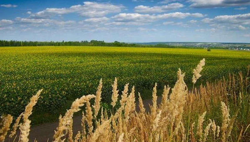 Церковные праздники 21 и 22 мая: какие действуют запреты, можно ли трудиться на огороде и посещать кладбище