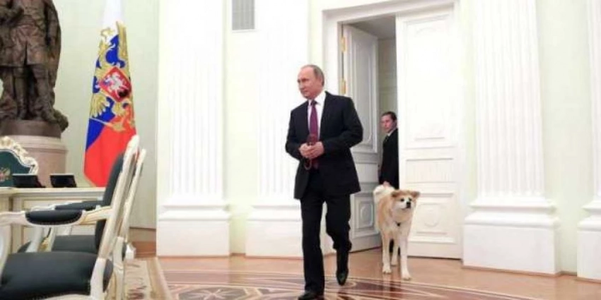 «Мечта» Путина вызвала у японцев восторг: «Россия для них благодать!»
