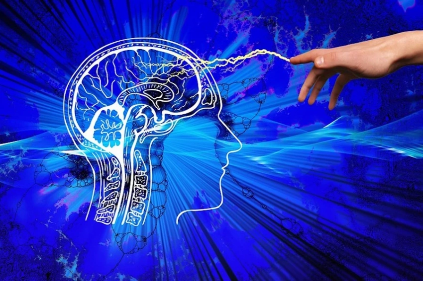 Илону Маску разрешили тестировать нейроимпланты от Neuralink на людях