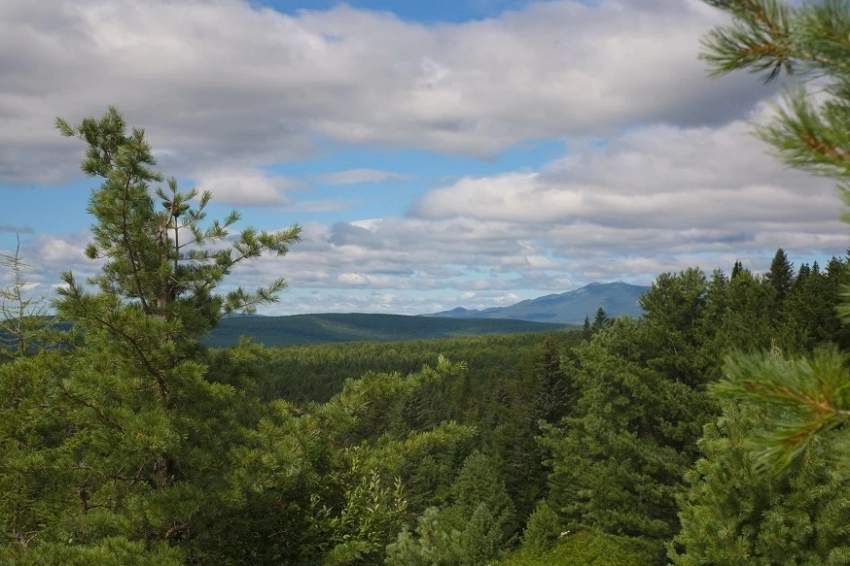 Дальний Восток 25 мая. Создан государственный природный Ботчинский заповедник