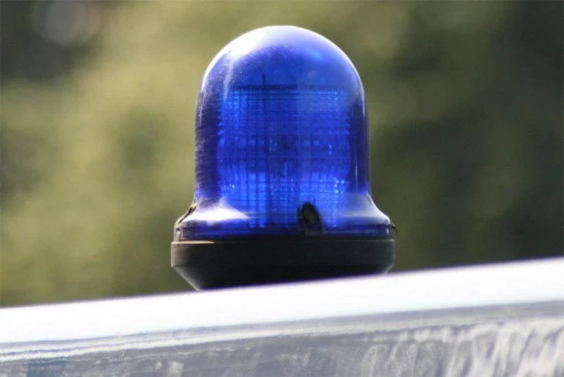 МВД показало видео штурма петербургского борделя с иностранными путанами