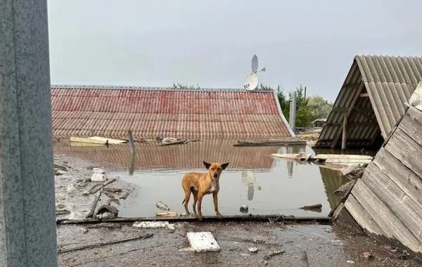 Каховская ГЭС сегодня, 10 июня, последние новости: где произошло, подтопление, свежие новости часа на 10.06.2023, какая обстановка сейчас