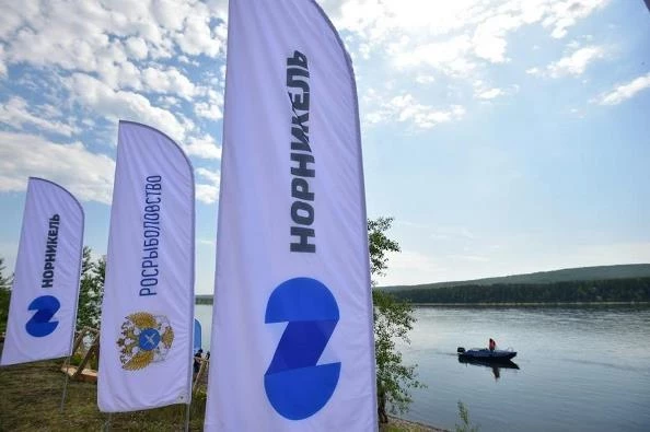 Глава Росрыболовства: «Уверен, что «Норникель» все обязательства по восстановлению рыбных запасов выполнит»