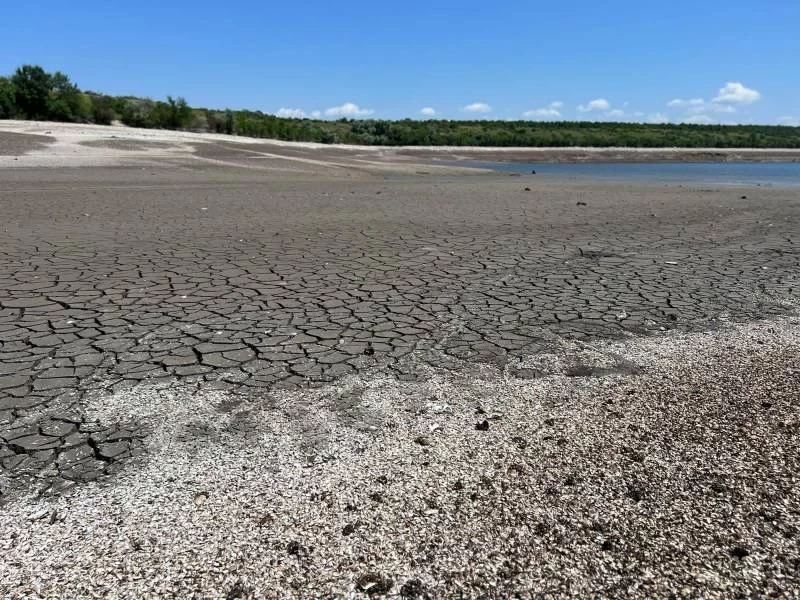 Будет ли распростронение лихорадки Западного Нила из-за теракта на Каховской ГЭС