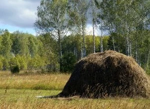 Православные верующие 26 июня 2023 года отмечают 2 церковных праздника – в честь святителя Трифиллия и мученицы Акилины