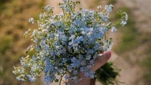 Какой будет погода 26 июня 2023 года, таким будет и все лето: народные приметы