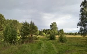 Приметы, поверья, традиции Кириллова дня 22 июня 2023 года