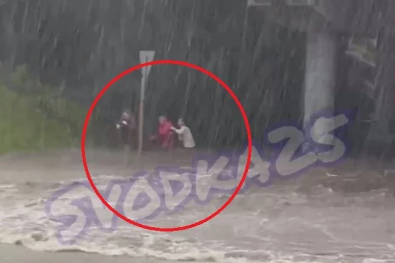 Люди вышли по пояс в воде: автобус “затонул” посреди дороги во Владивостоке – кадры