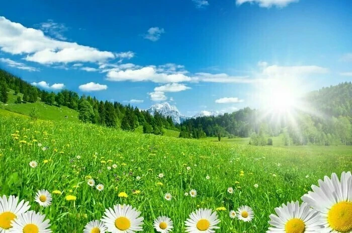 Какой церковный праздник сегодня, 1 июля, отмечают православные христиане