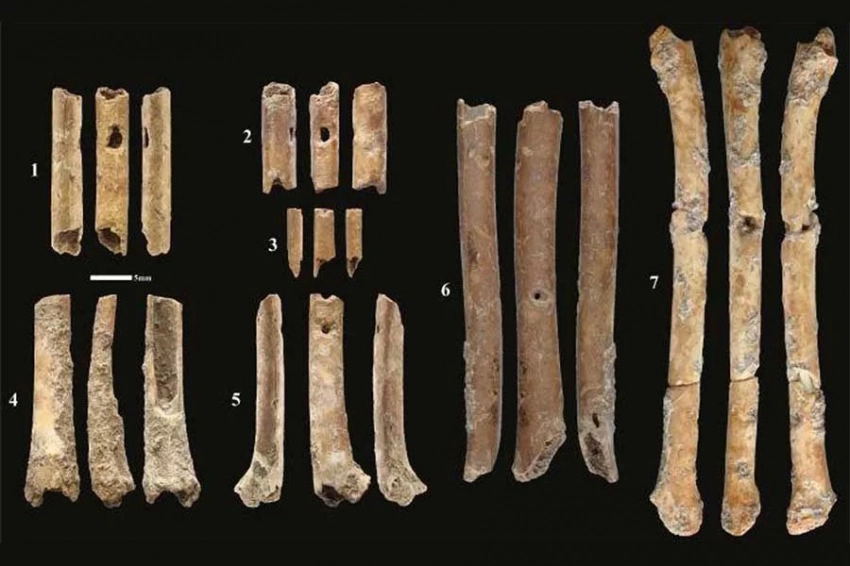 В Израиле обнаружены костяные флейты возрастом 12 000 лет, имитирующие звуки хищных птиц