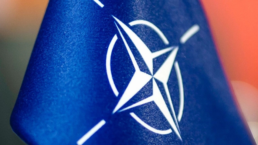 Аналитик Оберг сравнил НАТО с «пьяницей» и осудил ее планы открыть офис в Токио
