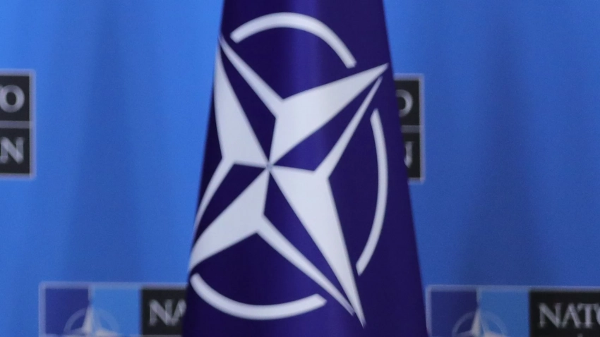 Автор Al Mayadeen перечислил проявившиеся на фоне украинского конфликта слабости НАТО