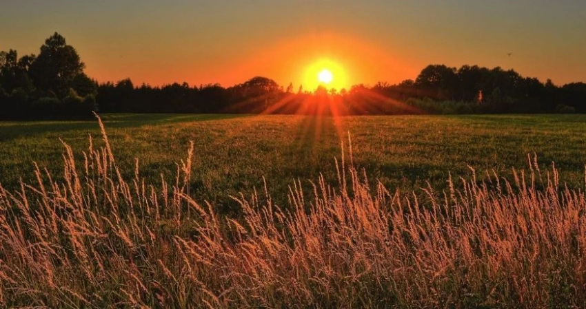 Народные приметы и праздники 30 июня, что нельзя делать в этот день, обряды