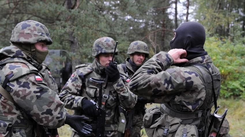 Полковник Матвийчук назвал возможные сроки ввода польского воинского контингента на Украину