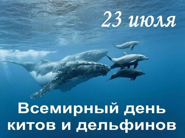 Какой праздник сегодня, 23 июля, отмечают в России и мире