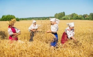 С праздником Финогеев день, отмечаемым 29 июля 2023 года, связано множество примет и поверий