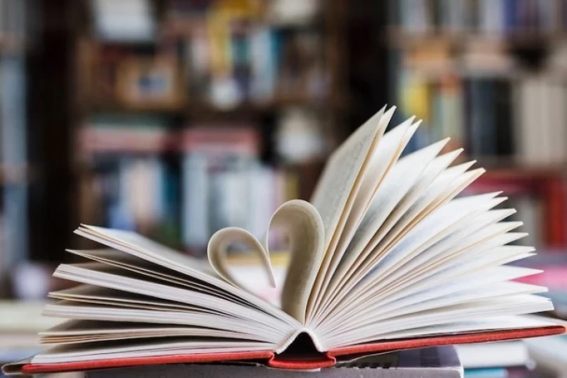 Во Владивостоке приглашают на книжный пикник