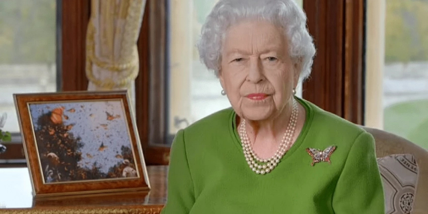 Наша Зелёная Королева только что совершила ужасную ошибку, окунувшись в политику