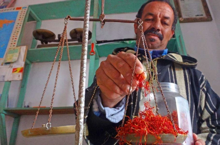 Путь марокканского шафрана: ароматная специя, более ценная, чем золото