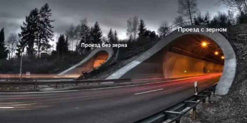 Россия поставила условие выполнив которое Европа сможет покупать наше зерно…