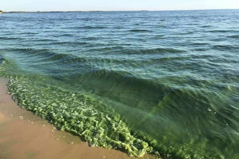 Где самые грязные воды после подрыва Каховской плотины