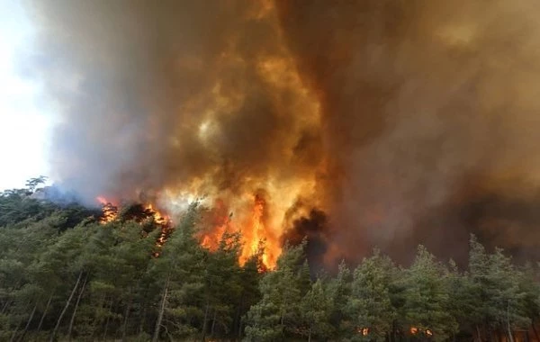 Турция сегодня, последние новости от 01.08.2023, что известно о лесных пожарах: обстановка на курортах Турции 1 августа, данные для туристов