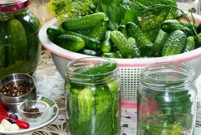 Что делать с горькими огурцами: можно ли их употреблять в пищу и консервировать