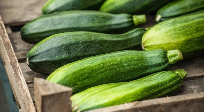 Вкусные и полезные цукини: простые рецепты из продуктов, которые всегда под рукой