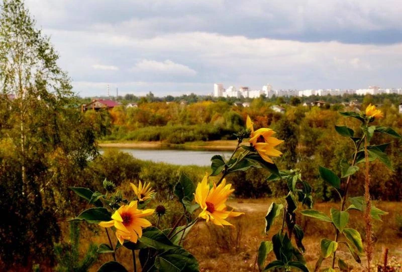 21 сентярбя в Росси отпразднуют Рождество Пресвятой Богородицы, история праздника, что нельзя делать