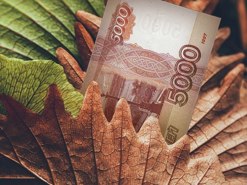 Овнам новая работа, Девам монетизация хобби: денежный гороскоп на осень 2023