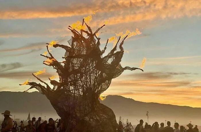 Что известно о заблокированных в пустыне участниках фестиваля Burning Man: последние новости на сейчас