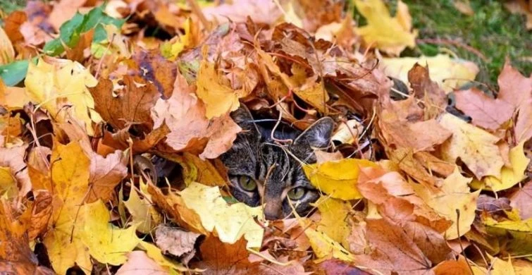 Народные приметы и праздники 27 сентября 2023 года: что нельзя, а что можно делать в этот день