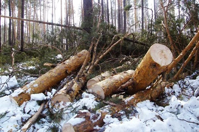 По приметам и поверьям на 22 октября можно узнать, какой будет погода в ближайшее время
