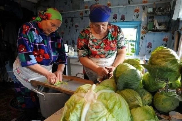 Чтобы была вкусной и хрустела: хорошие дни для засолки и квашения капусты по лунному календарю с 15 октября 2023 года