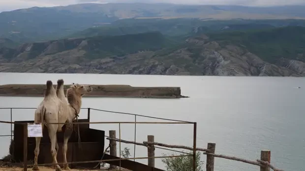Безопасно ли туристам лететь на отдых в Египет, граничащий с Израилем