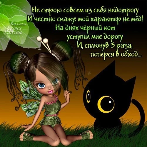 День недотрог 16 октября отмечают: картинки для поздравлений